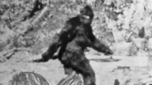 'Baby Bigfoot' Captured On Camera Interacting With Deer In The Woods