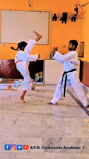 Insane Taekwondo Board Breaking! 🔥 (Power Level 100)