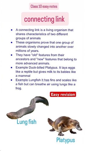 Class 10 Heredity and evolution connecting link short note easy handwritten notes #class 10 science