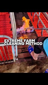 1.2M views · 14K reactions | EXTREME FARM CLEANING METHOD | INFO UNIK | Facebook