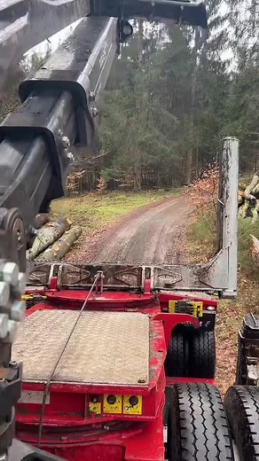 Efficient Wood Loading Process with Scania and Faymonville Equipment