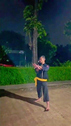 Solospel Kembangan Jurus Seni Pencak Silat Shaudara Seasuhan PSHW TM SH WINONGO STK MADIUN #shorts
