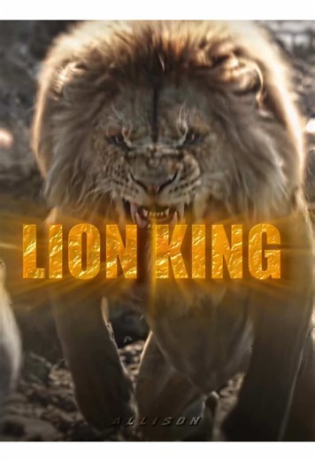 The Lion King's Cool Moments with Mufasa