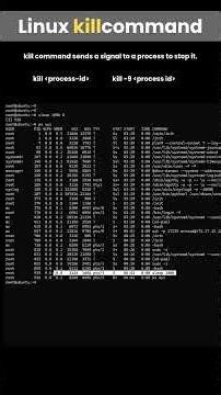How to Kill a Process in Linux #shorts