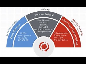 How EIS Reduced Costs by 20% and Optimized SAP by Leveraging the Cloud