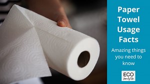 Paper Towel Usage Facts | 7 Amazing Things You Need to Know - Eco Family Life