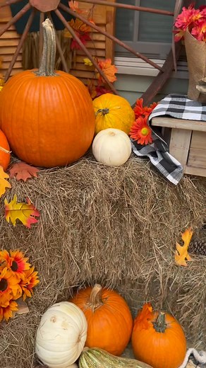 I’m here woodville at Woodville Lofts & Studios, LLC fall mini session are 23% off use code: FALL25! 🍂🍁 #hausofcarterphotography #Fall25 #pumpkinseason #FallMiniSessions #autumnvibes #shotsbydjae | Donald Carter