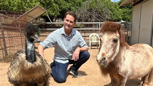 Ramona Sanctuary Provides Haven for Unwanted Farm Animals