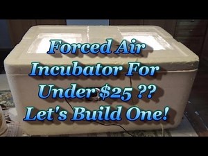 Build a Forced Air Incubator For UNDER $25!!