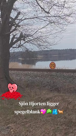 Hans Ahlzén (@snah1952)s videor med I Want to Hold You in My Dreams Tonight - Stella Parton