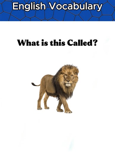 English Vocabulary #english #learnenglish #vocabulary #trivia #challenge #quiz #englishpractice #englishwords #viral