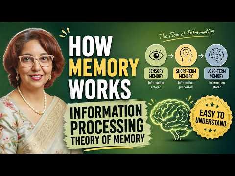 Information Processing Theory of Memory | How Memory Works (Psychology Class)
