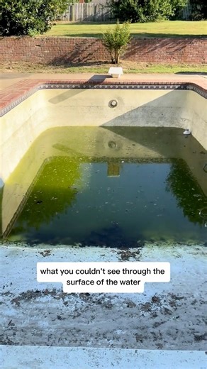 Pond to Pool Transformation, all in one part!! This was a much needed upgrade and has made our summers in OK so much more enjoyable! If you're in Tulsa, Bruce Bush with Tallgrass Landscaping is the absolute best for all things pools, landscape, pergolas, etc! #outdoor #pool | Nik and Liv DIY