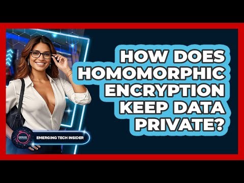 How Does Homomorphic Encryption Keep Data Private? - Emerging Tech Insider