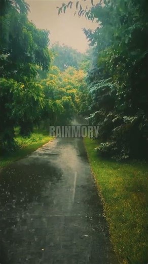 Heavy Rain ASMR 🌧️ Relaxing Rain Sounds for Deep Sleep & Focus
