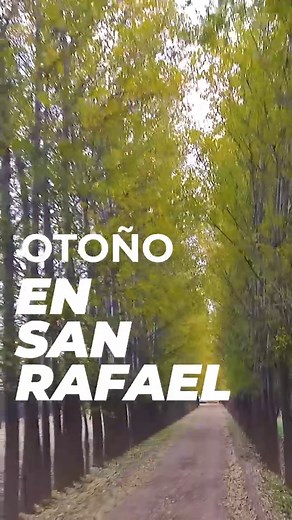 Otoño en San Rafael. Gastronomía, bodegas y paseos por paisajes maravillosos como el "Cañón del Atuel". Conocé toda la oferta de alojamientos en nuestra web oficial: www.sanrafaelturismo.gov.ar | San Rafael Turismo