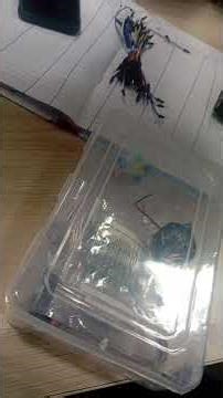 blink RGB lights through the Arduino