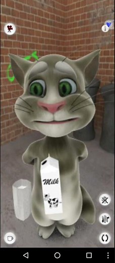 Talking Tom Cat Free 1.2