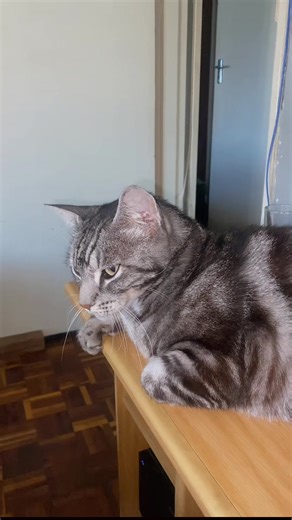 Understanding Ancestry: A Fun Look at Egyptian Heritage