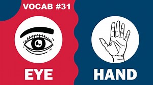 Lesson 31 - Beginner | THE BODY | Vocabulary | BASIC ESL WORKBOOK 3