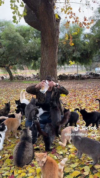 Exploring The Cat House on the Kings