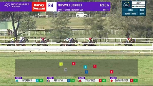 3K views · 35 reactions | STRATIFIED wins the Aberdeen Cup! Mack Griffith and Braith Nock combine to take out the feature at Muswellbrook Race Club in a close finish, the gelding downing Swamp Nation and Inferencia over the 1280m. TAB | Racing NSW | Facebook