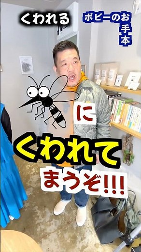 すぐに使える名古屋弁講座「（蚊に）くわれる」 #名古屋弁 #名古屋