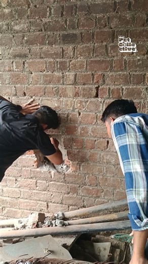 🤪 Animal rescues gone wild 🫣 #AnimalRescue #Rescue #Fail #AnimalReels | The Pet Collective