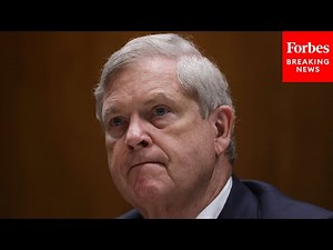 USDA Secretary Tom Vilsack Testifies Before The Senate Agriculture Committee | Full Hearing