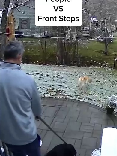 Hilarious Falls: A Bottomless Journey