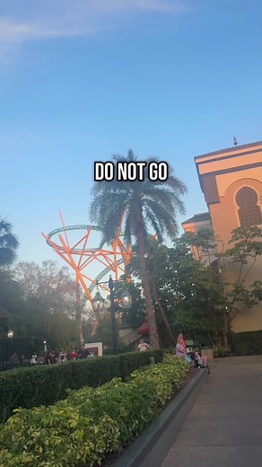 Explore SheiKra at Busch Gardens Tampa Bay