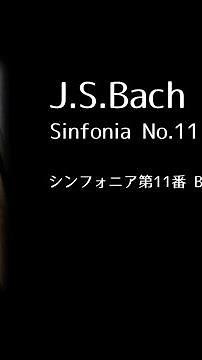 シンフォニア第11番 BWV797 J.S.バッハ Sinfonia No.11 BWV797 J.S.Bach