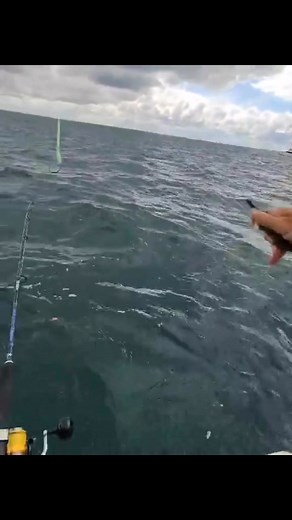 35K views · 145 reactions | This Two Bays Snapper Challenge fishing report comes from Chris, the main man at Winpro Services who are great supporters of the comp. This might be the biggest $$$$ landed all week. Check this out i lost a rod over the side... next minute I couldn't believe it haha Winpro Services | Peninsula Snapper Challenge | Facebook