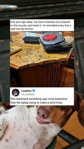 My Mother Smashed My Computer On This Kitchen Counter One Full Year Ago