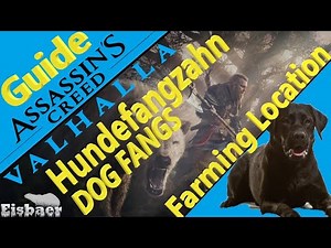 Hundefangzähne Dog Fang farmen Best farming Fangs Hundefangzahn Assassin's Creed Valhalla speed fast