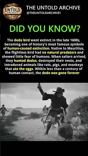 This Bird That Went EXTINCT: The Dodo #history #facts
