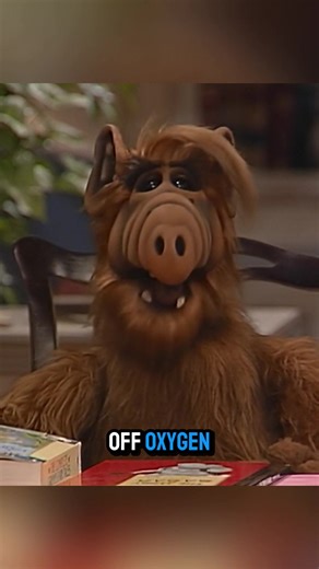 37K views · 1.9K reactions | #alftvshow #alf #alftv #s #alien #alienlifeform #alledible #gordonalfshumway #alienlife | A.L.F Show Best | Facebook