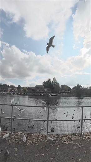 A Peaceful Walk Along the Thames in Marlow 🇬🇧 #nature