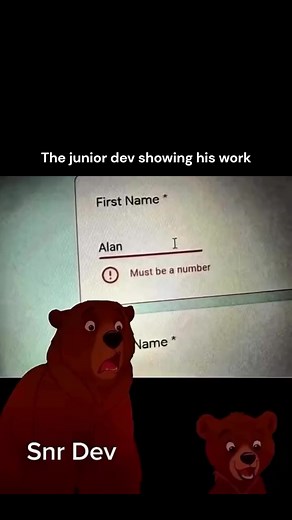 Understanding the Junior Developer Experience