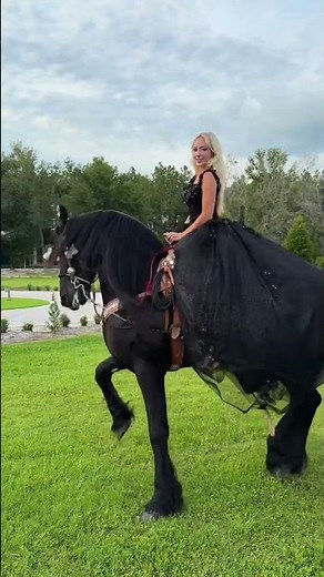 friesian horse #fyp #nataliereynolds
