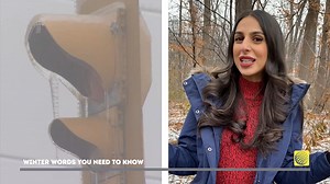Do you know the difference between freezing rain and ice pellets? 🥶💧 Meteorologist Jessie Uppal is here to explain! Learn more #WinterWordsYouNeedToKnow 👉 https://bit.ly/31BJEa | The Weather Network