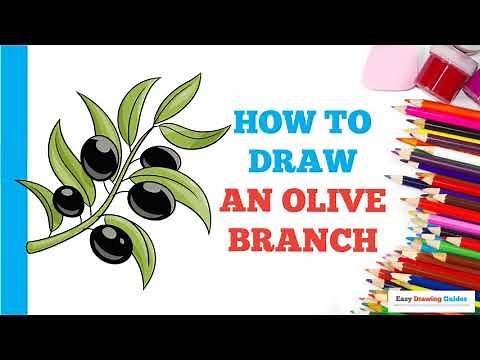 How to Draw an Olive Branch in a Few Easy Steps: Drawing Tutorial for Beginner Artists