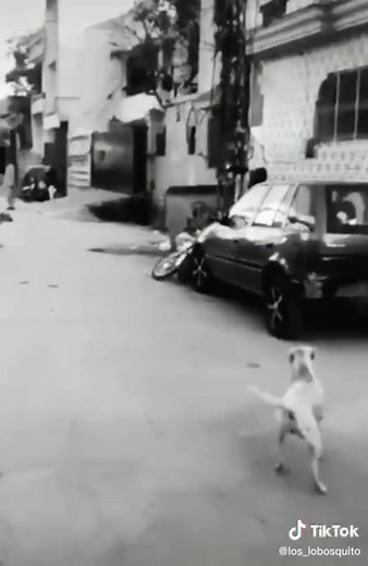 Sal Alcantar on Reels