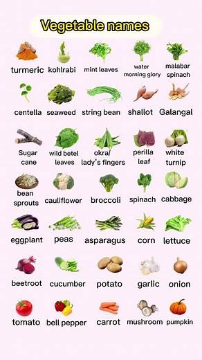 Learn English with King English Find more ways to learn #english #English #englishteacher #englishbulldog #englishlesson #englishtips #englishclass #englishlanguage #englishspeaking #englishvocabulary #kingenglish #englishforkids #foru #foryourpage #foryoupage #foryou #for #kingenglish #انجليزية #انجليزي_مبسط #انجليزي_للمبتدئين #انجليزي_للجميع #movieclips #movie #mobilelegends #film #movies #funny #funnyvideos #fun #viral #viralvideo #viraltiktok