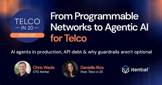 From Programmable Networks to Agentic AI | Telco in 20 Podcast