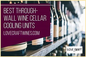 Top 7 Best Through Wall Wine Cellar Cooling Units (2026 Review)