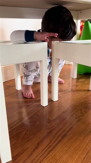 Potty Training Adventures: The Hide-and-Poop Challenge