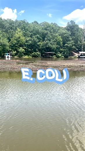 1.2K views · 30 reactions | Hello, friends of the Coosa River! Curious about what we test for in our water quality program? You’re in luck—we’ve put together a video series that breaks down our testing parameters. In this episode, we take a closer look at E. coli—what it is, why it matters, and how we monitor it. We hope you enjoy and learn something new! | Coosa Riverkeeper | Facebook