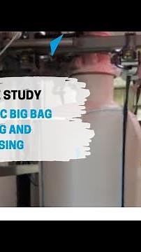 Automatic big bag filler - Big bag filling machine | Palamatic Process Inc.