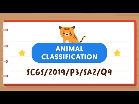 PSLE SCIENCE MADE SIMPLE EP86 | Animal Classification | Identify The Body Of An Insect 🐜